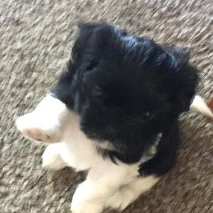 Meet your Posher, Deborah